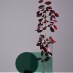 demo-img13