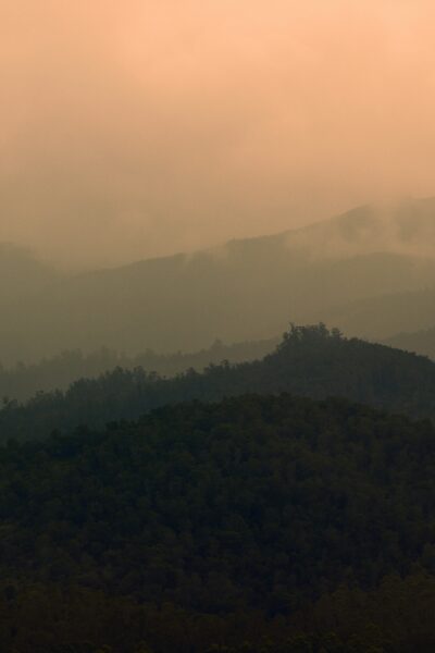 lucca_thumbnail15